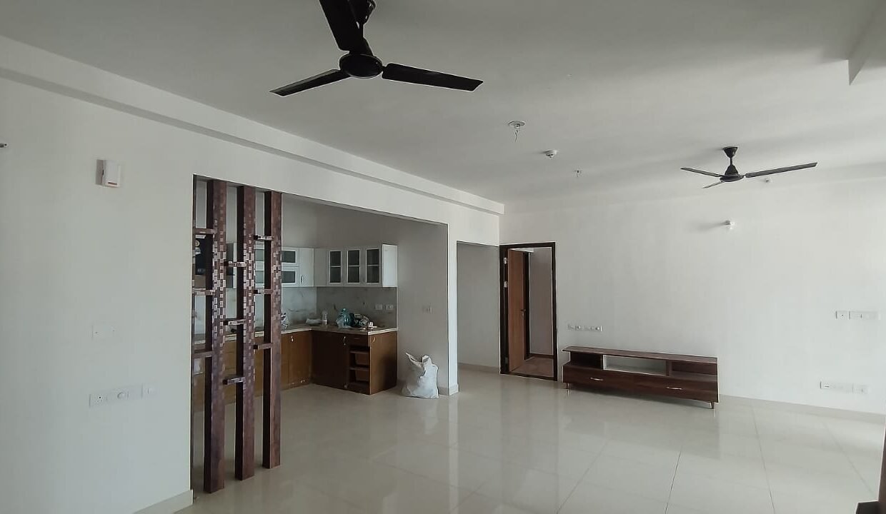 IMG-20241025-WA0000