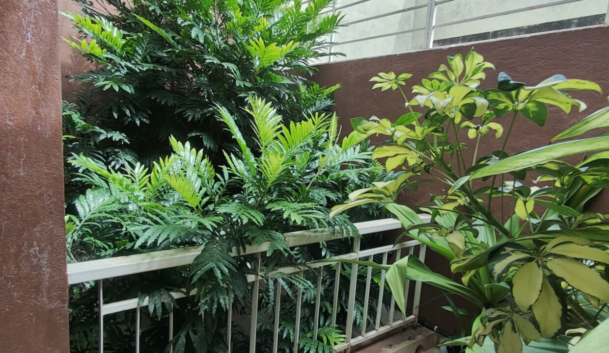 IMG-20241107-WA0112