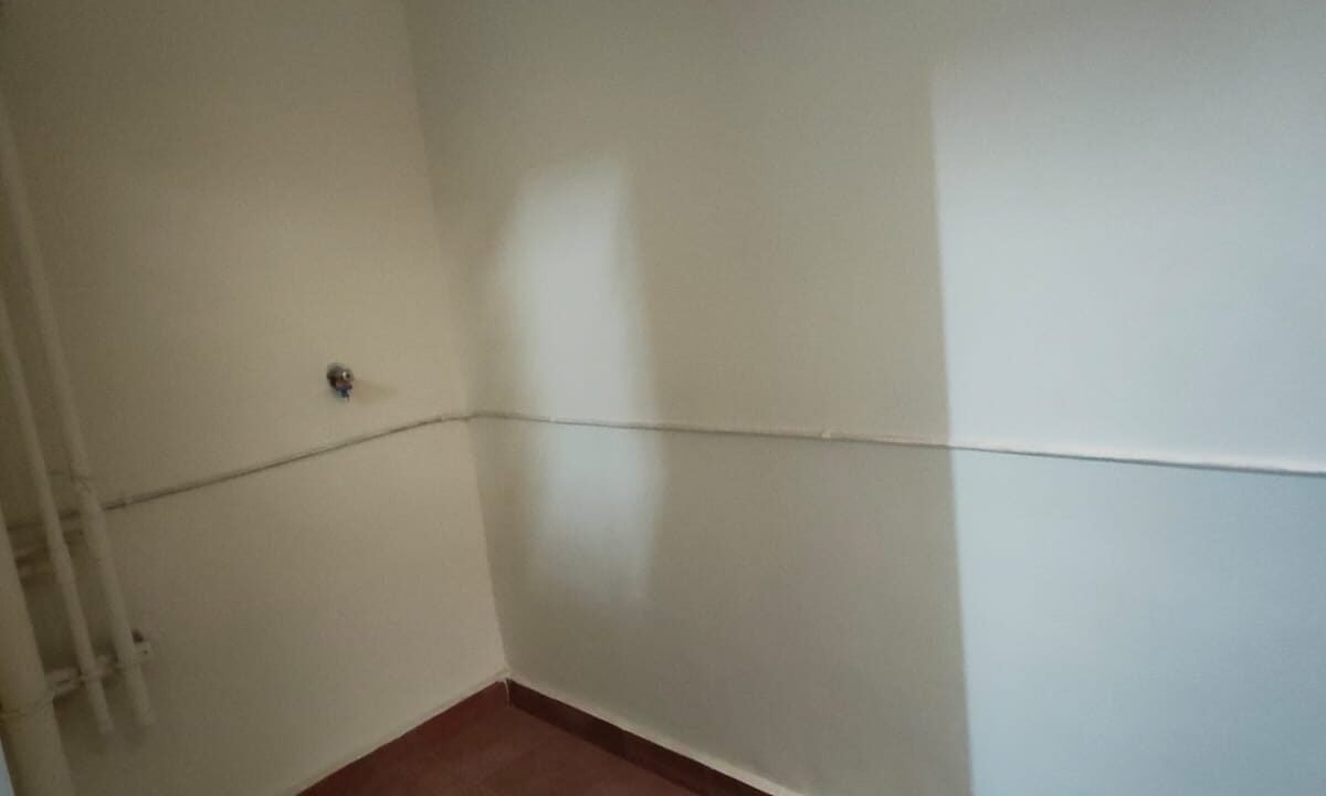 IMG-20241120-WA0100