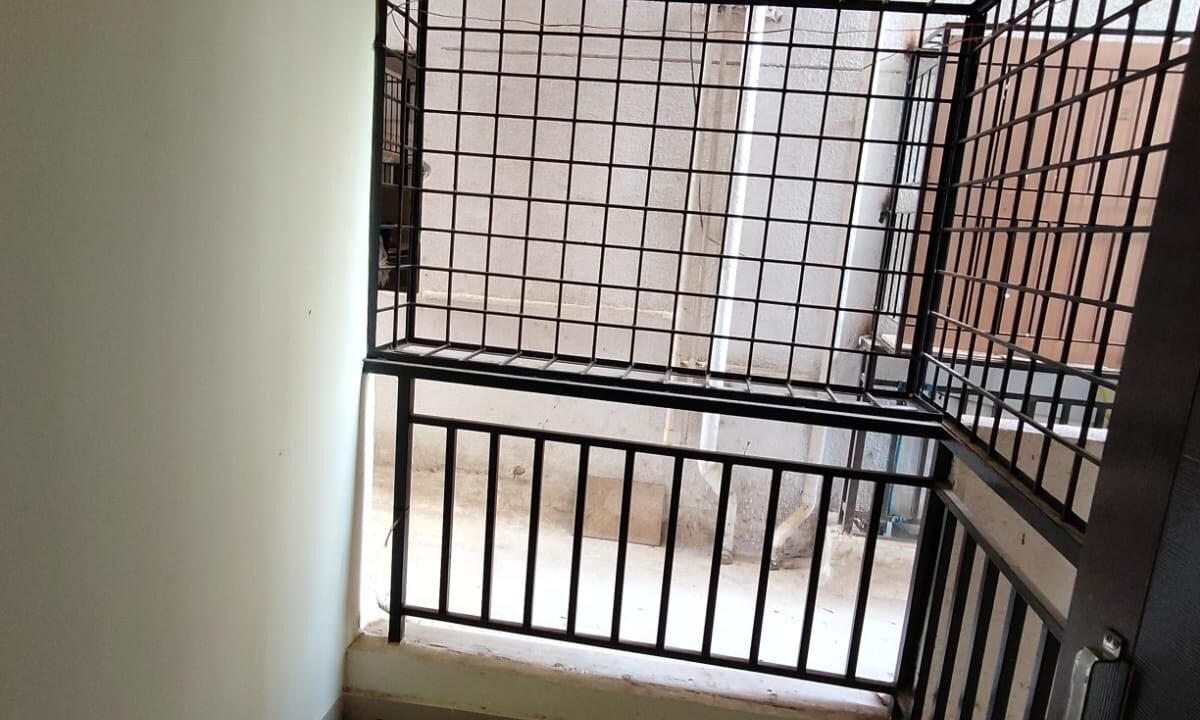 IMG-20241120-WA0101